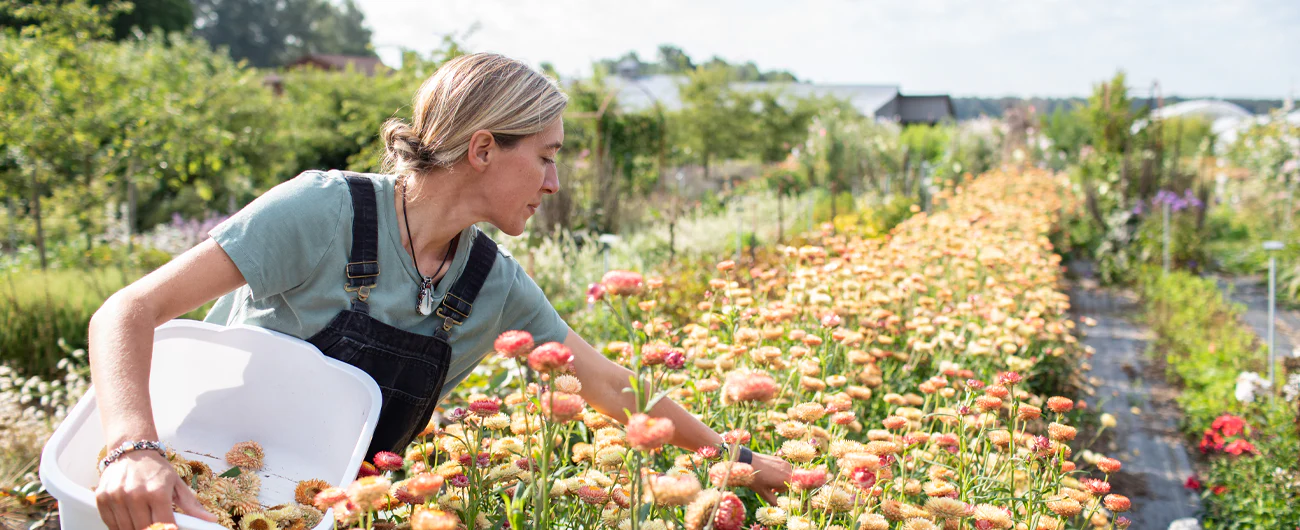 Wear the Garden’s Finest Varieties